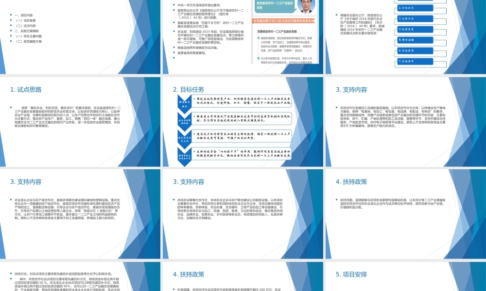 2016年山东省农村一二三产业融合试点项目实施内容和实施方案要求