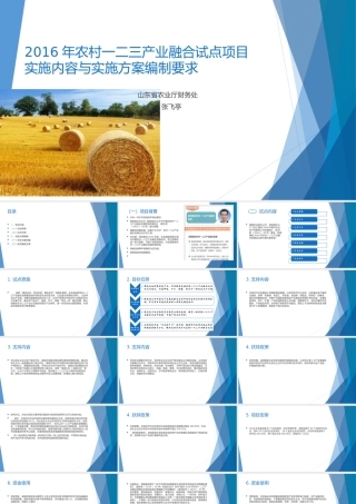 2016年山东省农村一二三产业融合试点项目实施内容和实施方案要求