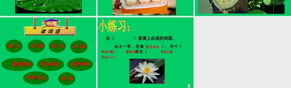 小学语文二年级课件-它的名字叫莲-沪教版