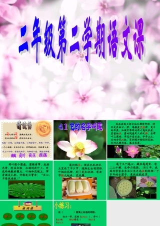 小学语文二年级课件-它的名字叫莲-沪教版