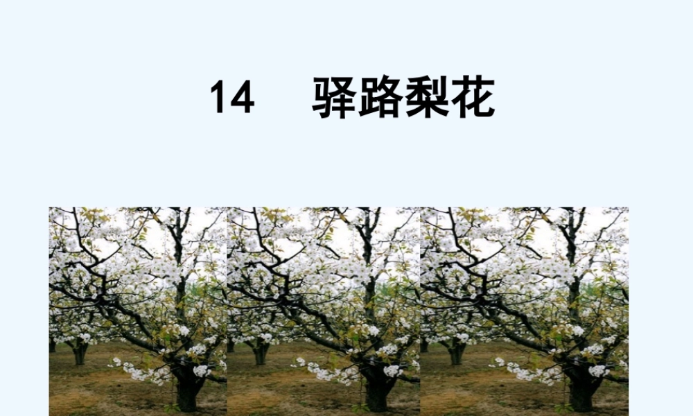 (部编)初中语文人教2011课标版七年级下册驿路梨花(课件)