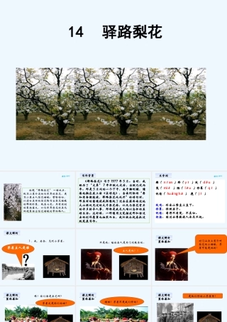 (部编)初中语文人教2011课标版七年级下册驿路梨花(课件)