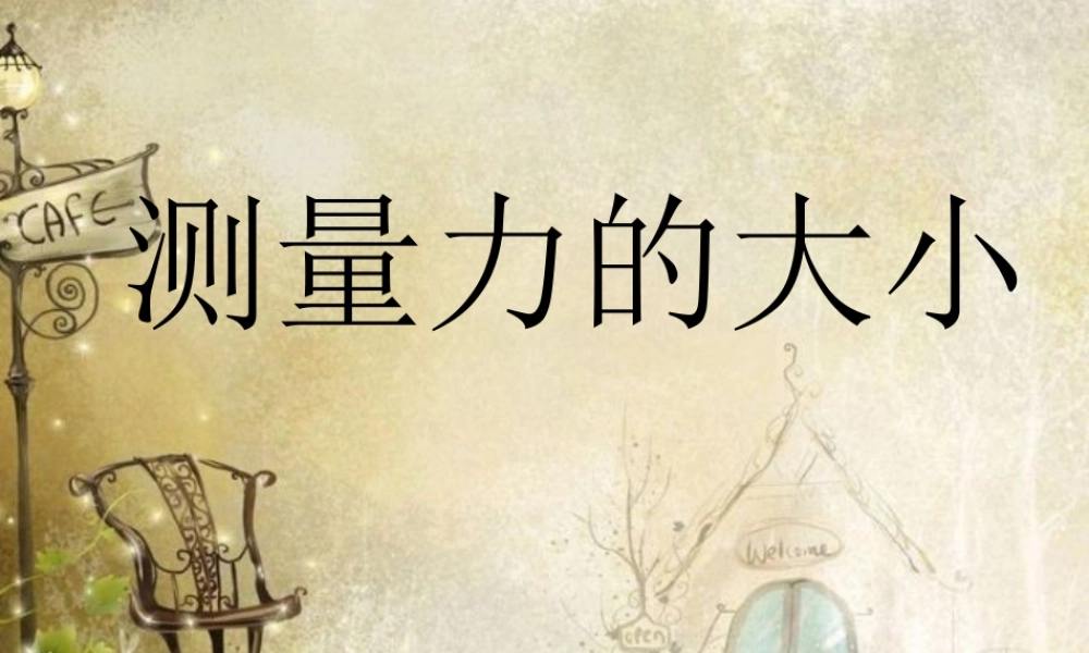 4.4测量力的大小