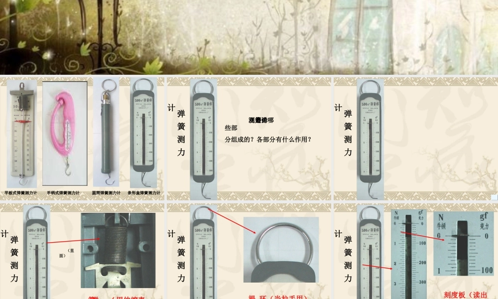 4.4测量力的大小