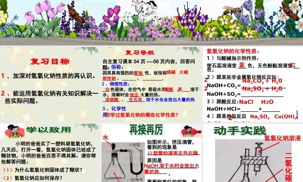 NaOH的性质
