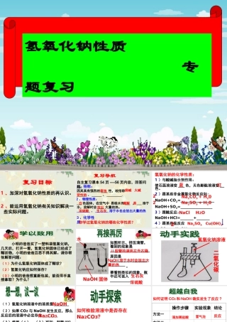 NaOH的性质