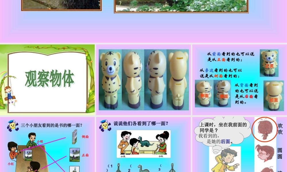 观察物体》导学案