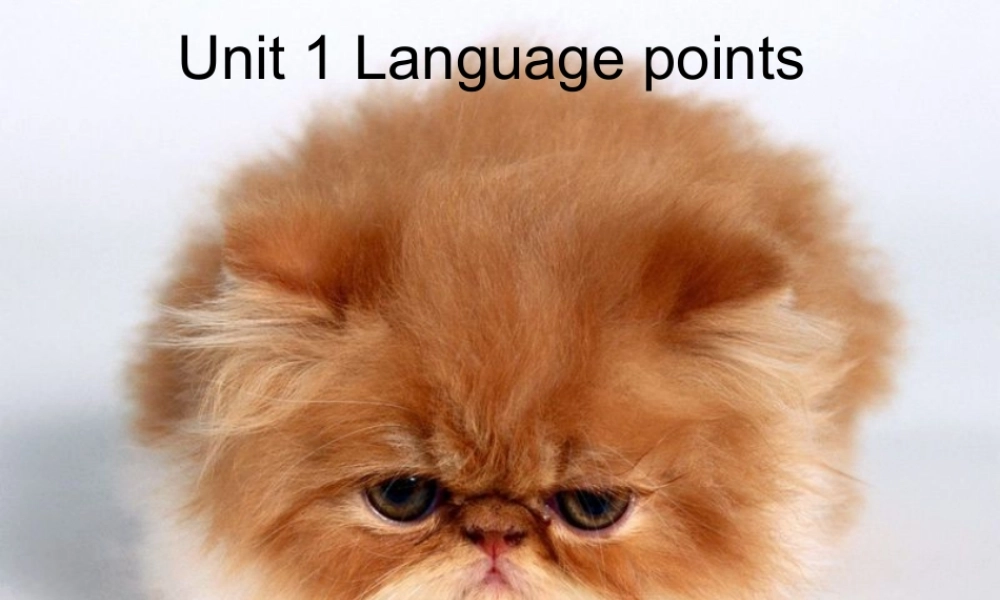 unit1Languagepoints