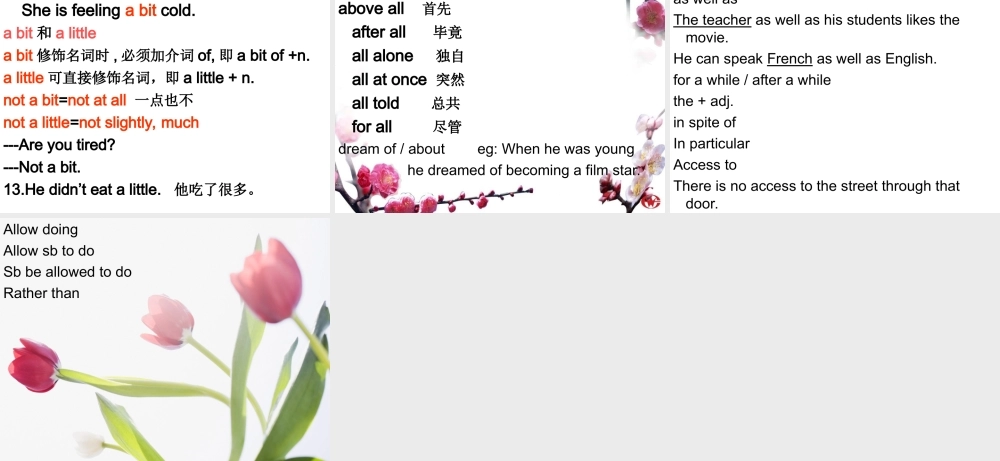 unit1Languagepoints