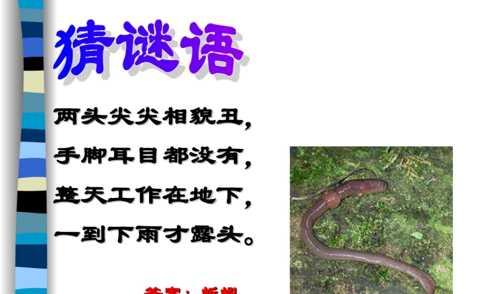 第二十课《蚯蚓找家》课件