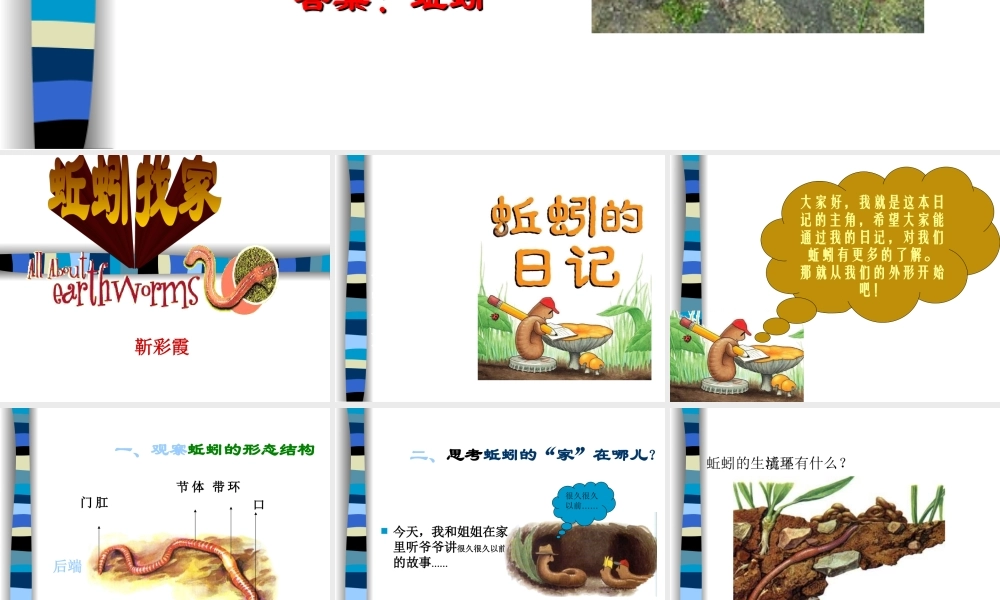 第二十课《蚯蚓找家》课件