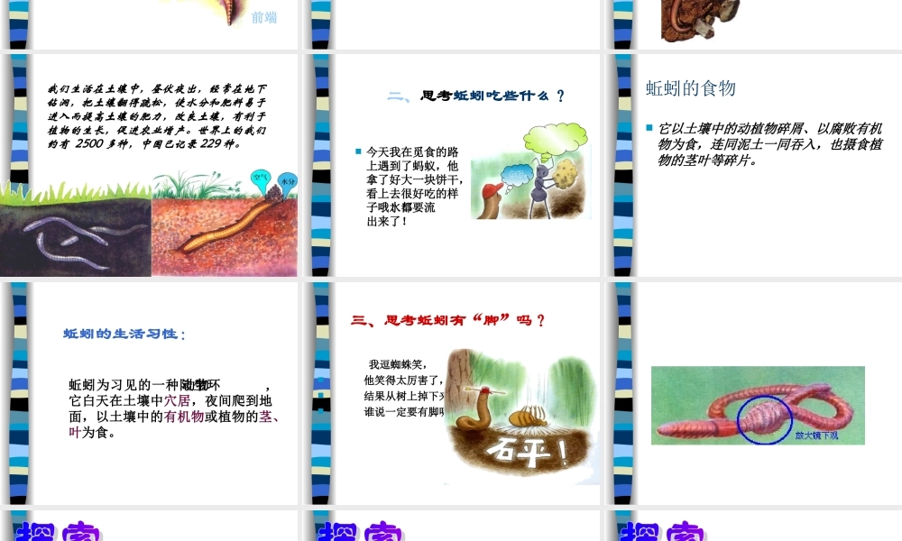 第二十课《蚯蚓找家》课件