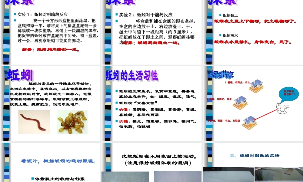 第二十课《蚯蚓找家》课件