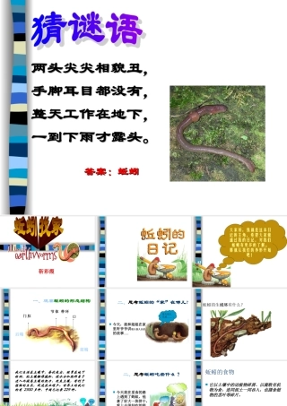 第二十课《蚯蚓找家》课件