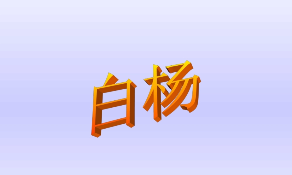 《白杨》课件-