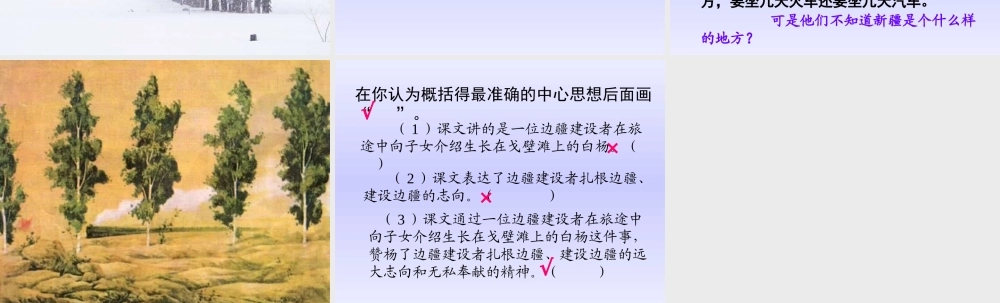 《白杨》课件-