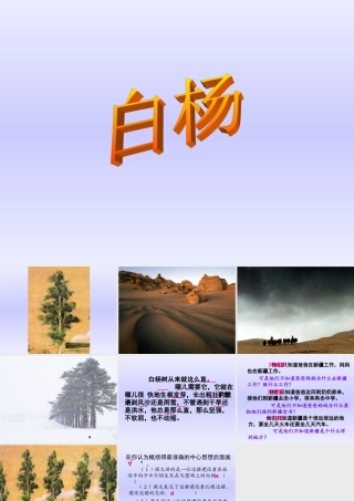 《白杨》课件-