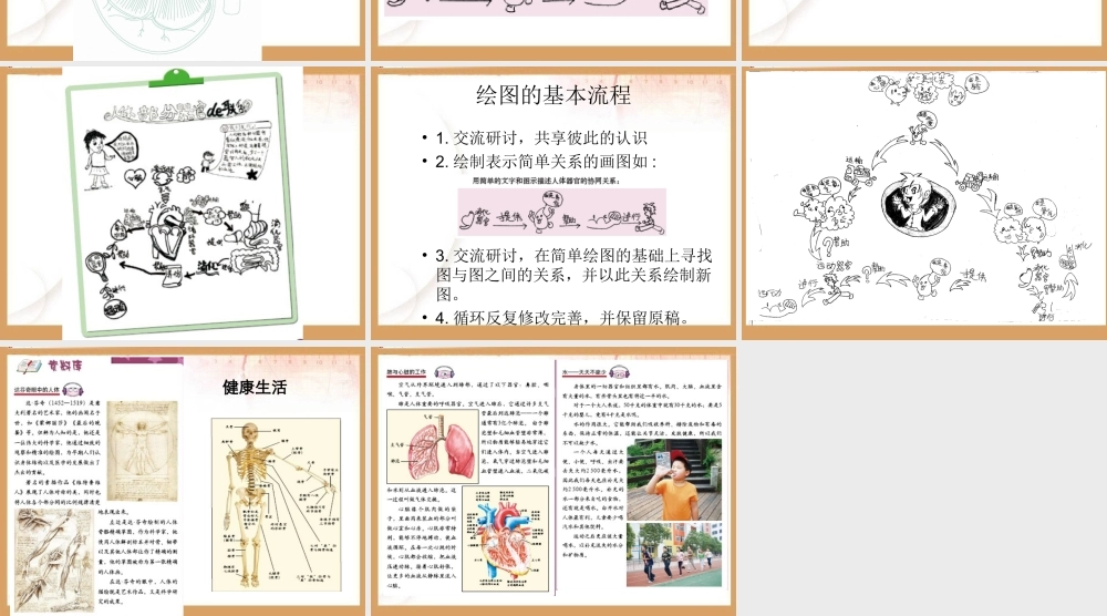 《相互协作的人体器官》教学课件