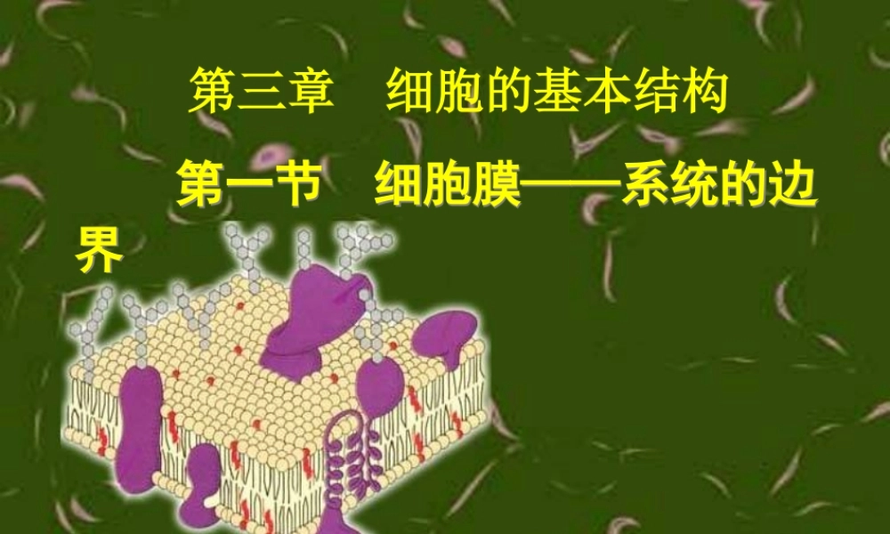 3.1细胞膜——系统的边界