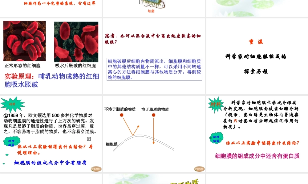 3.1细胞膜——系统的边界