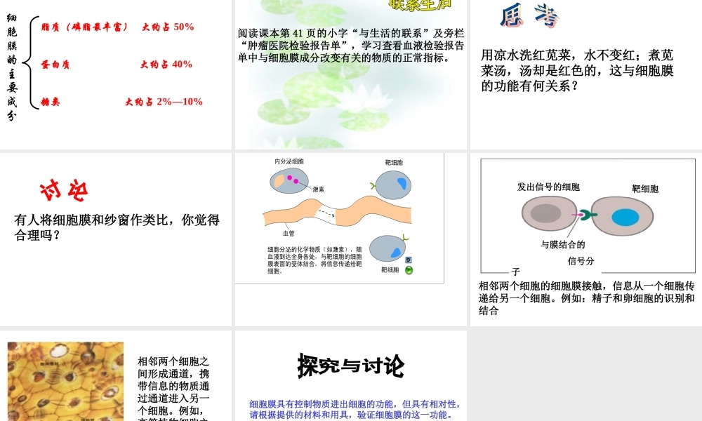 3.1细胞膜——系统的边界