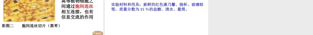 3.1细胞膜——系统的边界