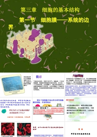 3.1细胞膜——系统的边界
