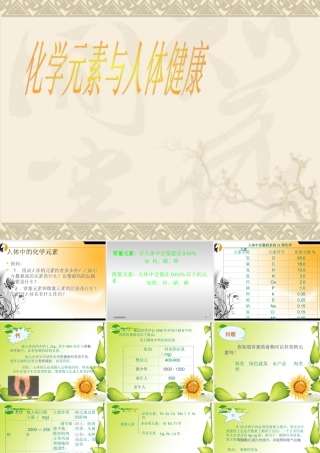 九年级化学12.2化学元素与人体健康课件人教版