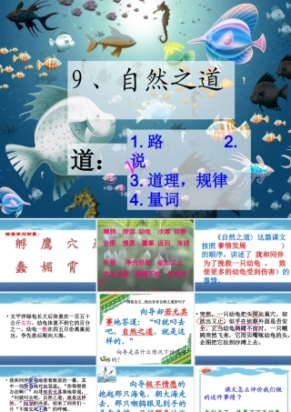 自然之道(公开课)