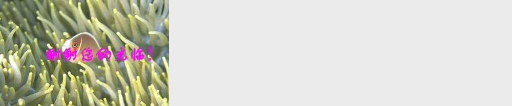 小学数学北师大2011课标版三年级分数的初步认识-(3)