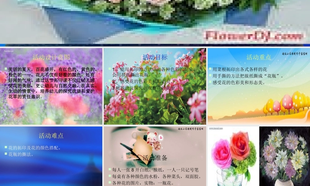 《花儿多美丽》