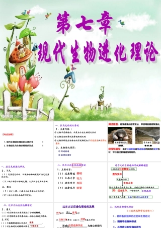 生物进化与生物多样性的形成-(2)