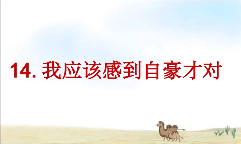 14我应该感到自豪才对第二课时