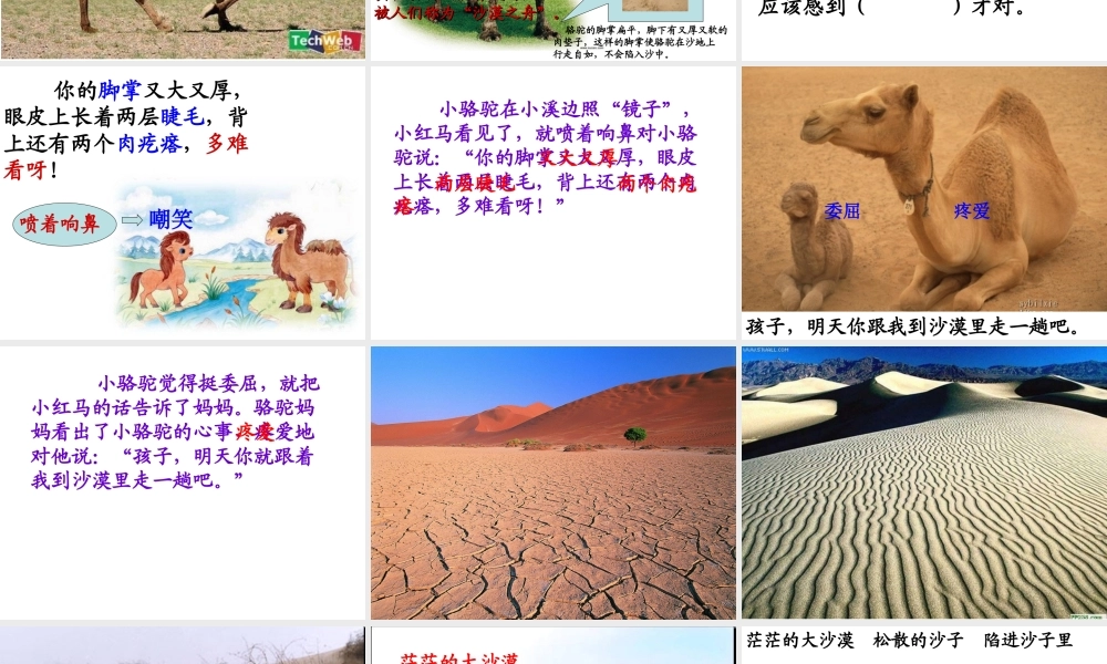 14我应该感到自豪才对第二课时