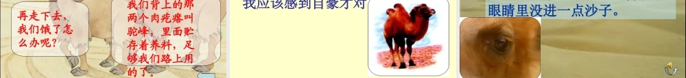 14我应该感到自豪才对第二课时