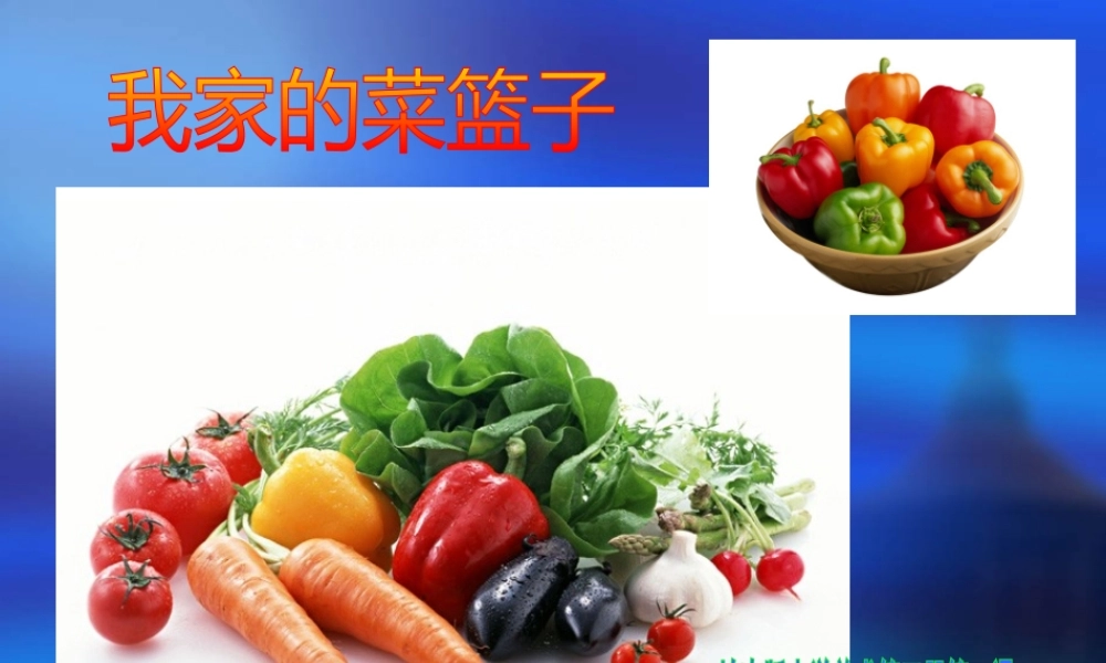 《我家的菜篮子》课件