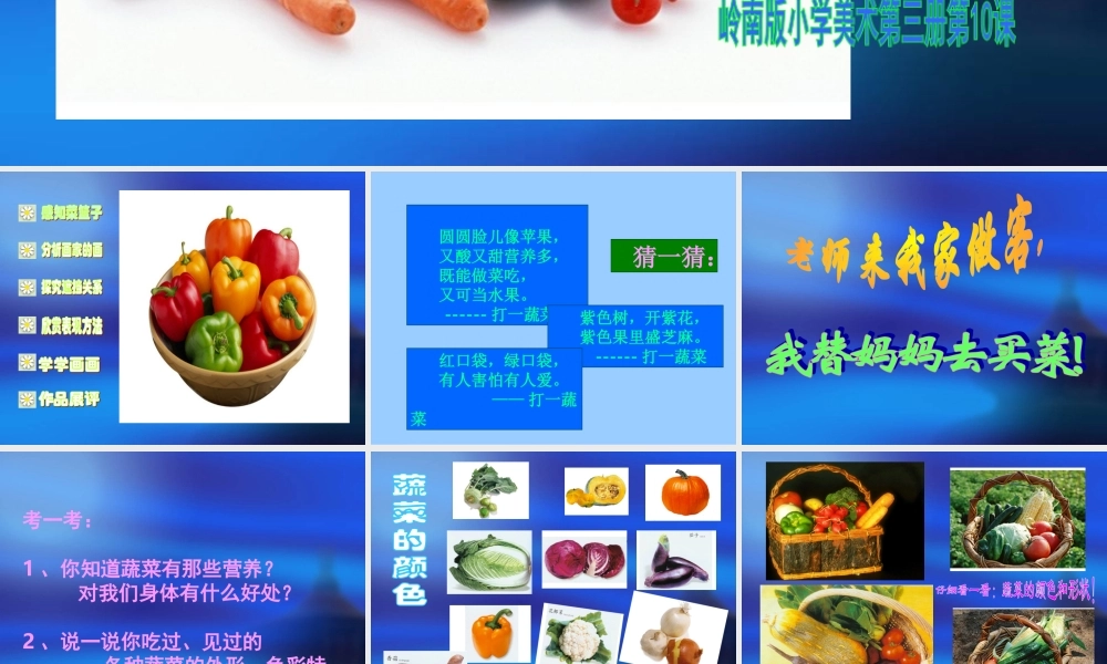 《我家的菜篮子》课件