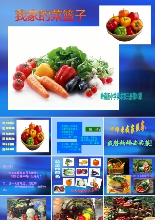《我家的菜篮子》课件