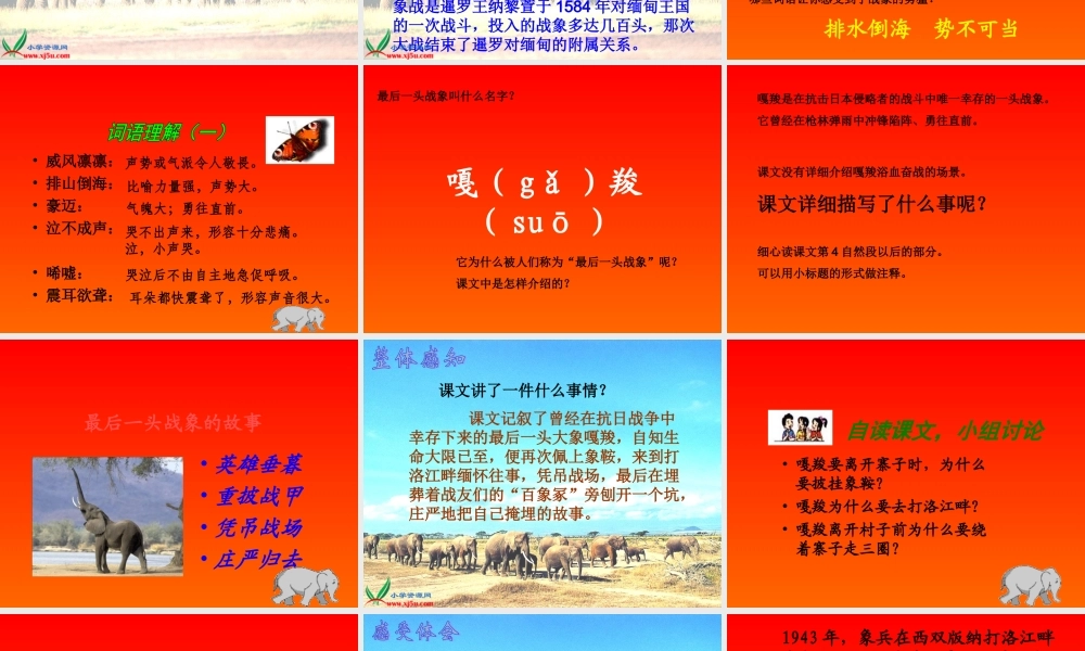 《最后一头战象》PPT课件小学语文六年级上册23课