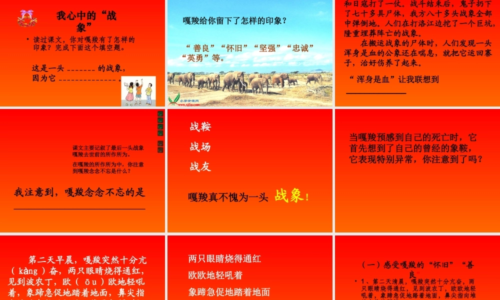 《最后一头战象》PPT课件小学语文六年级上册23课