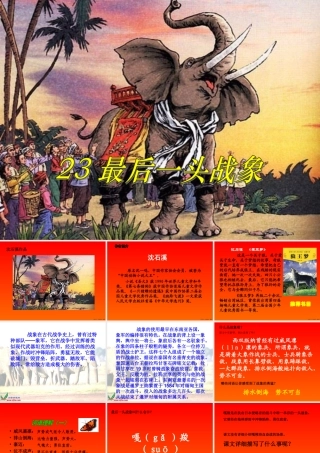 《最后一头战象》PPT课件小学语文六年级上册23课