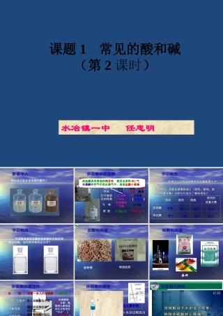 《常见的酸和碱》教学课件(第2课时)