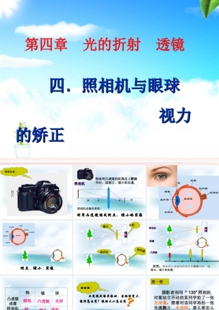 4.4照相机与眼球--视力的矫正ppt课件