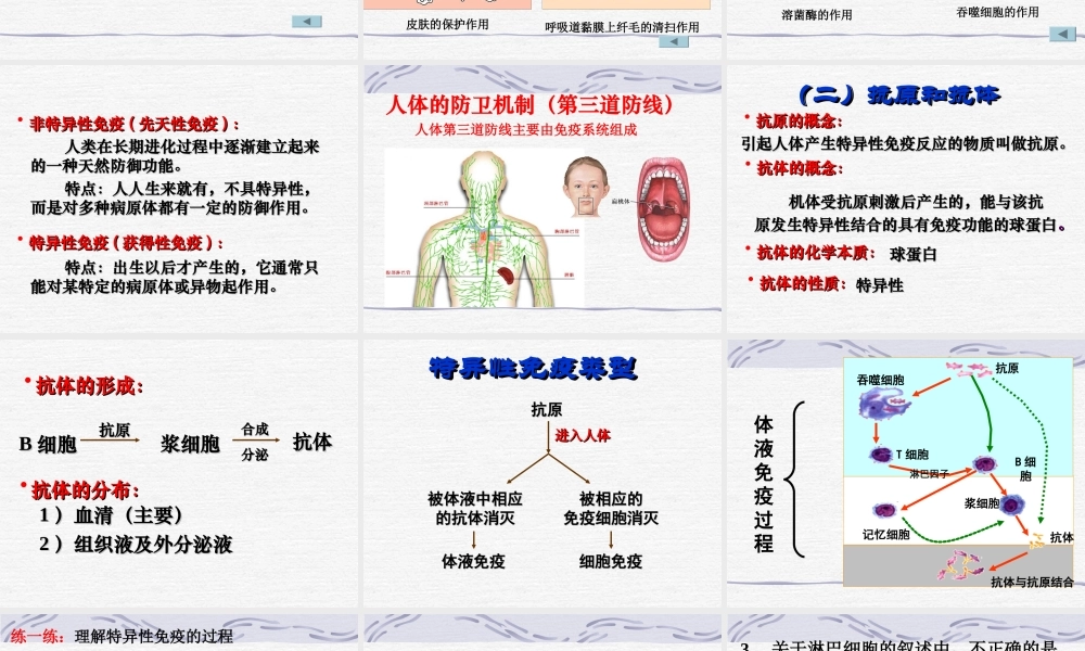 2.4免疫调节课件