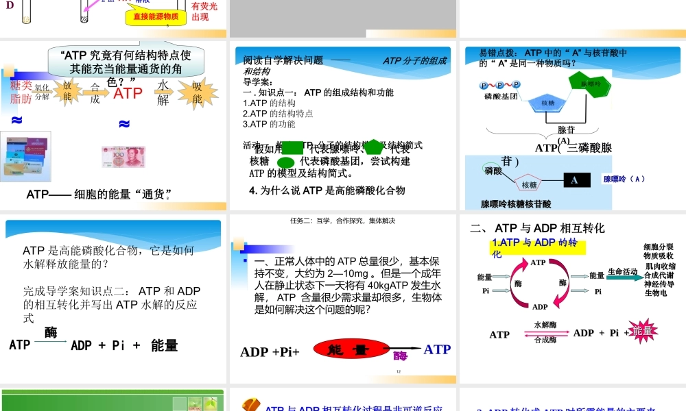 生命活动的能量“通货”——ATP-(3)