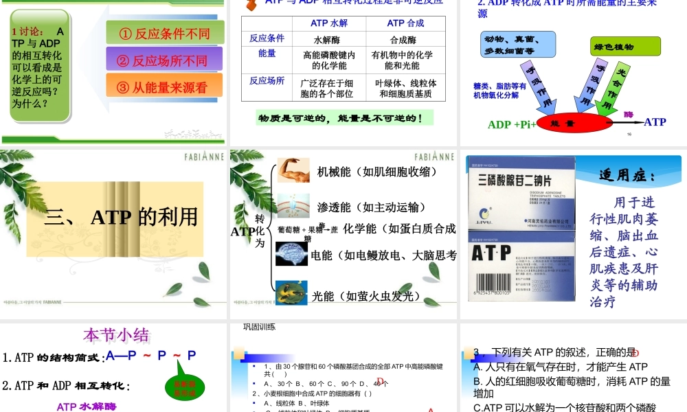 生命活动的能量“通货”——ATP-(3)