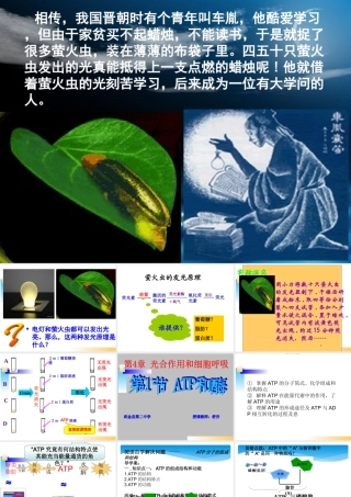 生命活动的能量“通货”——ATP-(3)