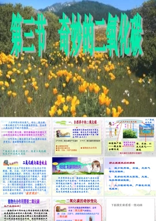 2-3奇妙的二氧化碳两课时课件1