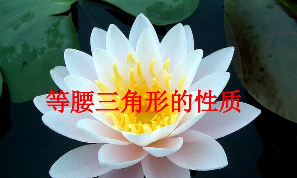 等腰三角形的性质课件.ppt