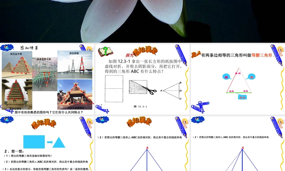 等腰三角形的性质课件.ppt